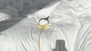후방주의) 야한 그림자