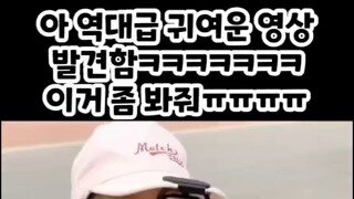 이게 귀엽지않으면 오늘 굶고 자겠습니다.