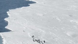 리더의 위기