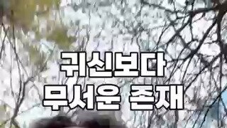 (소리주의) 귀신보다 무서운 존재
