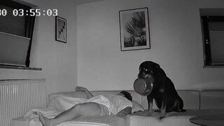 밥좀줘라