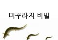 썸네일 이미지