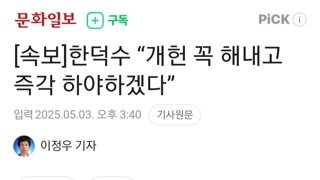 노각 개헌되면 즉각하야