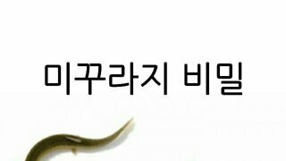 만약 이런법을 발의하면 어떻게 되나요?