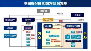 검찰개혁은 그냥 혁신당 방안대로 가면 됨