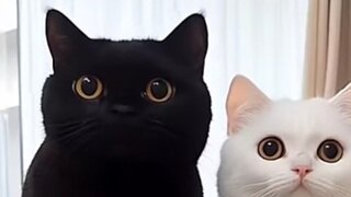 내 남편 촌스럽지만 순수해용