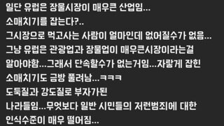 유럽에서 소매치기 참교육시킨 중국인 사진작가