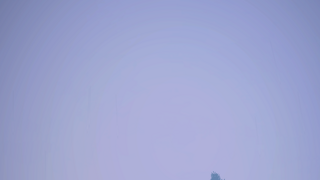 던바튼 지박령
