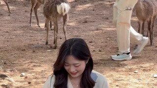 하얀색