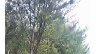 회전초밥 1인칭 시점.gif