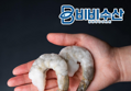 비비수산 41/50 칵테일새우 900g