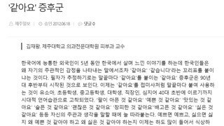 '~것 같아요' 말투, 증후군