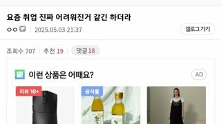 갑자기 펨코여신이 된 조현
