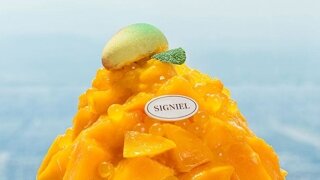 시그니엘 망고빙수 가격