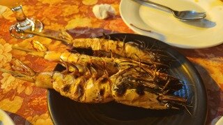 정답은 5월 15일부터 국조, 청문회