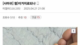 사마귀 갤러리 역대급 반려사마귀
