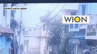 암컷 킥보드