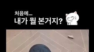 최소 두번이상 다섯번은 봐야 이해되는 영상