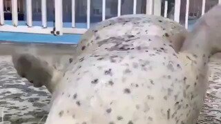 야밤에 노래한곡  Girls Just Want To Have Fun