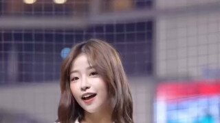 ㅇㅎ) 대만 치어리더