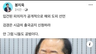 봉지욱기자 입건된 피의자가 공개적 해외 도피 선언