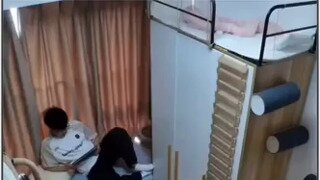 집사가 만든 장롱방이 맘에 들었던 냥이