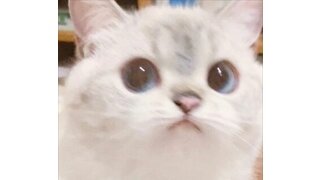 각 당의 상황