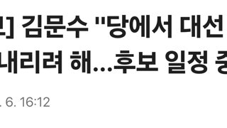 [속보] 김문수 