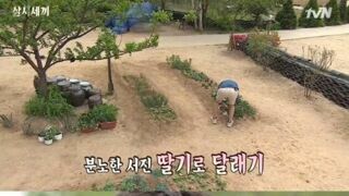 여자 게스트 올때마다 따먹어야지