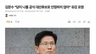 김문수 