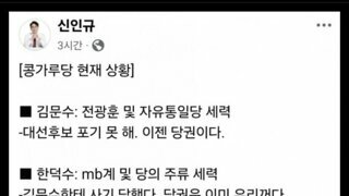 국힘 현상황