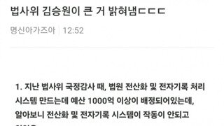 [펌] 법사위 김승원이 큰거 밝혀냄