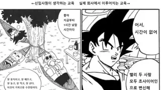 직장 신입이 느끼는 교육.. 상상 vs 현실