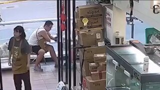 극한 직업 고양이 사육사.gif