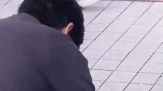 중국 아님