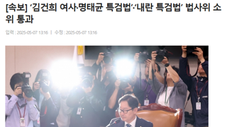 김건희 명태균 특검법·‘내란 특검법’ 법사위 소위 통과