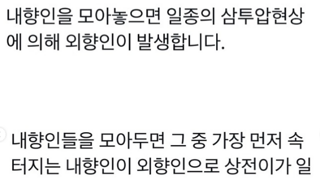 내향인을 모아놓으면