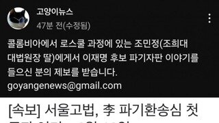 실시간 고양이뉴스 조희대 딸 제보받는중