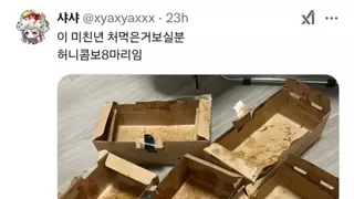 하루에 허니콤보 8마리씩 먹는 트위터인.jpg