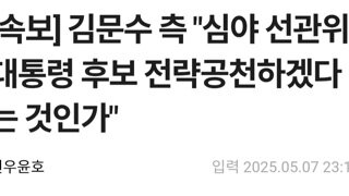 [속보]김문수측 심야 선관위는 