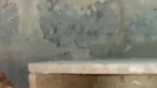 너 알 안품냐?
