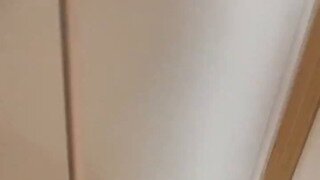 집에 침입한 코코넛크랩