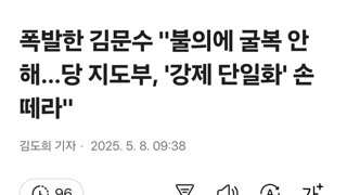 폭발한 김문수 