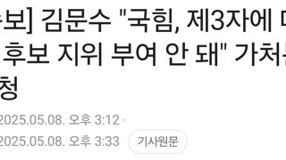 [속보] 김문수 