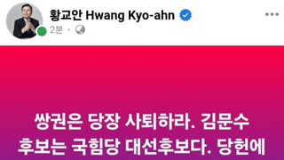 황교안 참전 : 국힘갤 상황