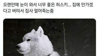 집사 얼어 죽이는중