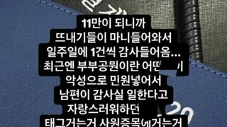인스타 공무원 인플루언서 결국 면직