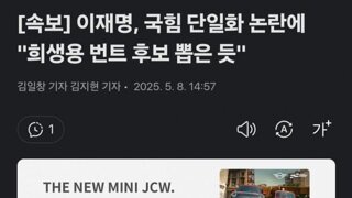이재명 국힘 단일화 논란에 