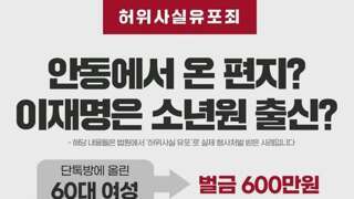 이재명 관련 허위사실 유포 결과