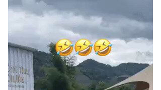 털벗은 알파카
